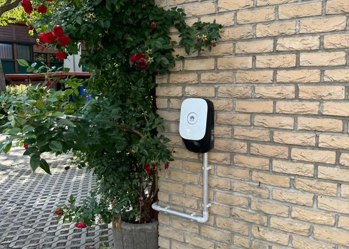 Martyniak * 도르트문트