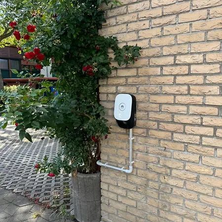 Martyniak * ドルトムント